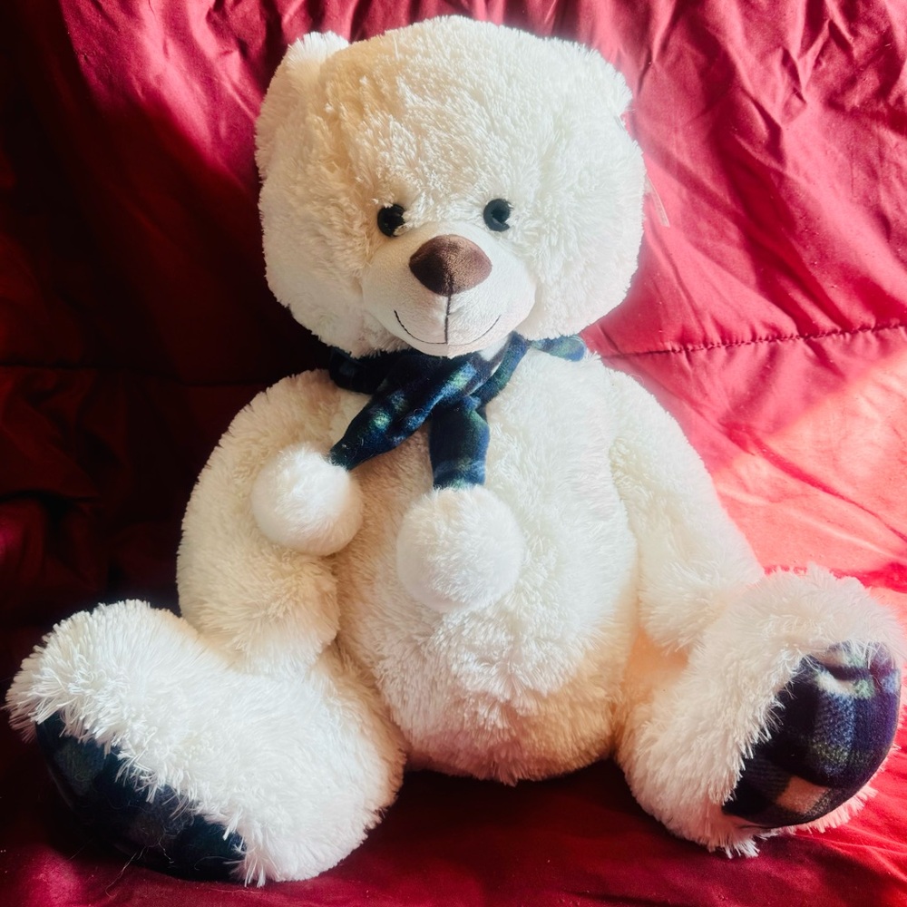 Teddy - Picture 3 of 3